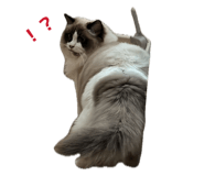 839466813