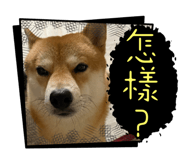 839467017