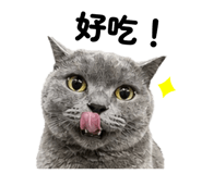839467774