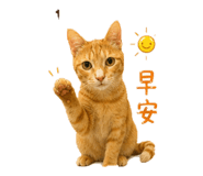 839467777