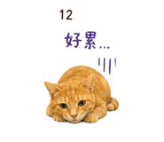 839467788