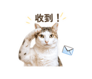 839468277