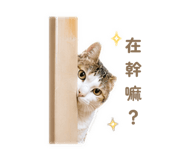 839468293