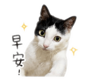 839478521
