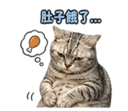 839479812