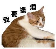 839479879