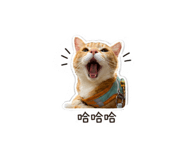839503179