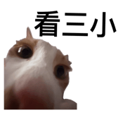 839503303