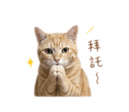 839503313