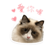 839503346