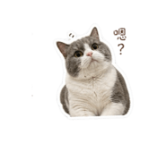 839503490
