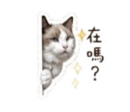 839503525