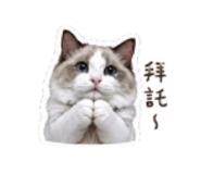 839503527