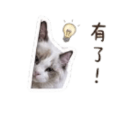 839503536