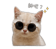 839503647