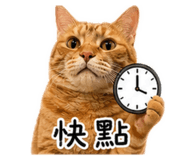 839504009