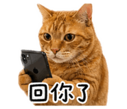 839504011