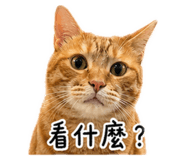 839504013
