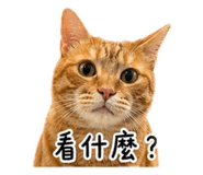 839504014