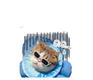 839504350