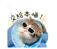 839504352