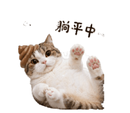 839504410