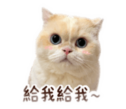 839504530