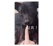 839504736