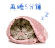 839505053
