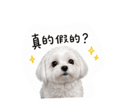 839505258