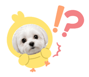 839505278