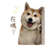 839505289