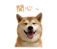 839505291