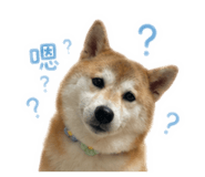 839505295