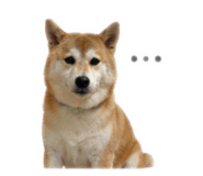 839505305