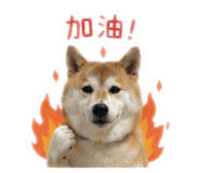 839505306