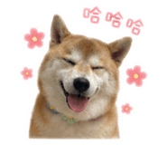 839505307