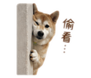 839505308