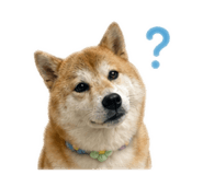 839505314