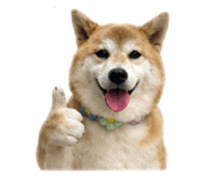 839505315