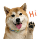 839505318