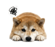 839505320