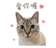 839505511