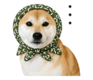 839505981