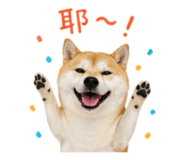 839505987