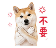 839505991