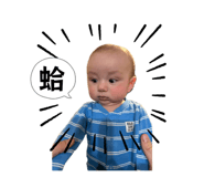 839506212