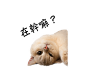 839506610