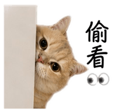 839506618