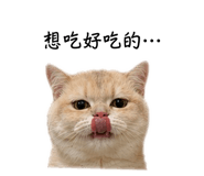 839506619